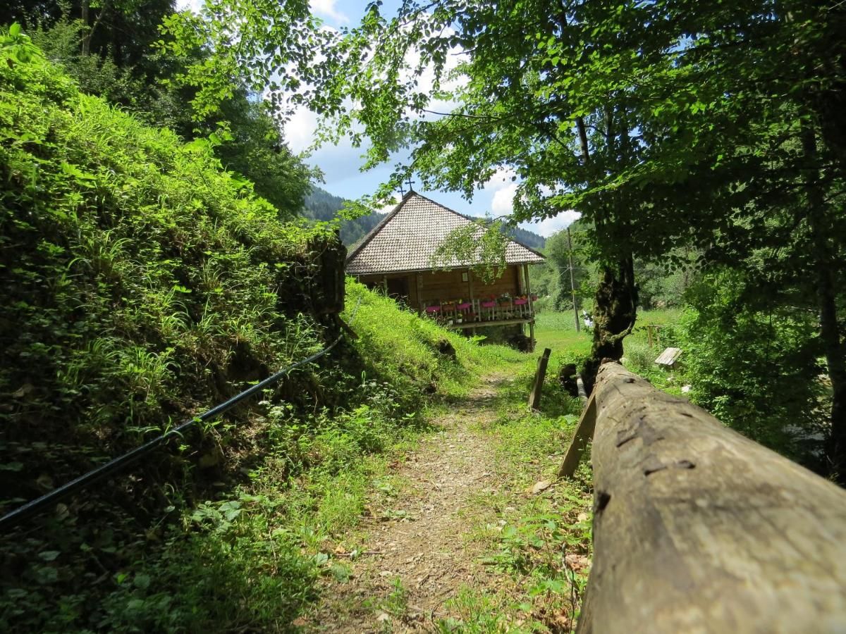 Фермерские дома Farmstay Oka i Po Беране-10