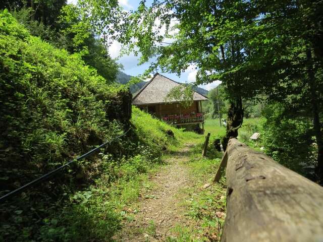 Фермерские дома Farmstay Oka i Po Беране-9